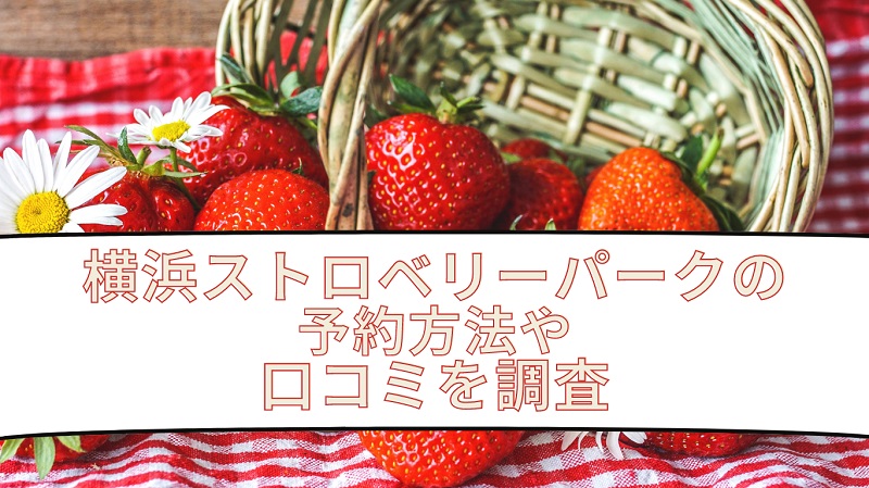 yokohamastrawberrypark-yoyaku